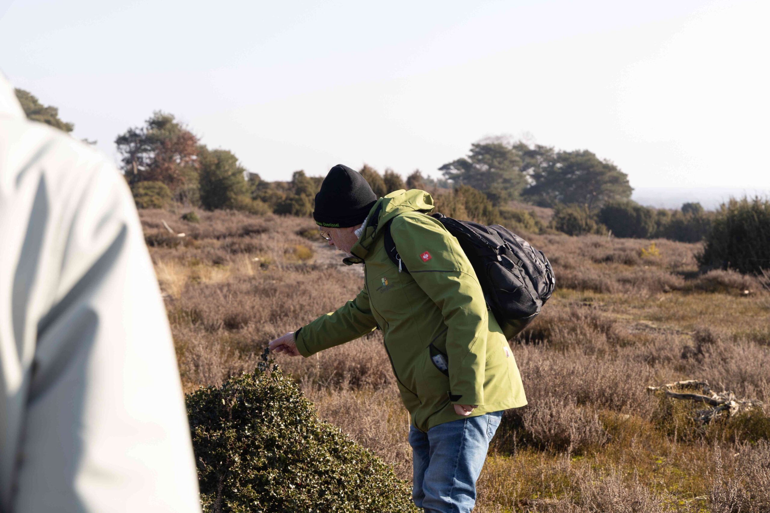 Gids Gé van Landschap Overijssel vertelt over natuur op de Lemelerberg