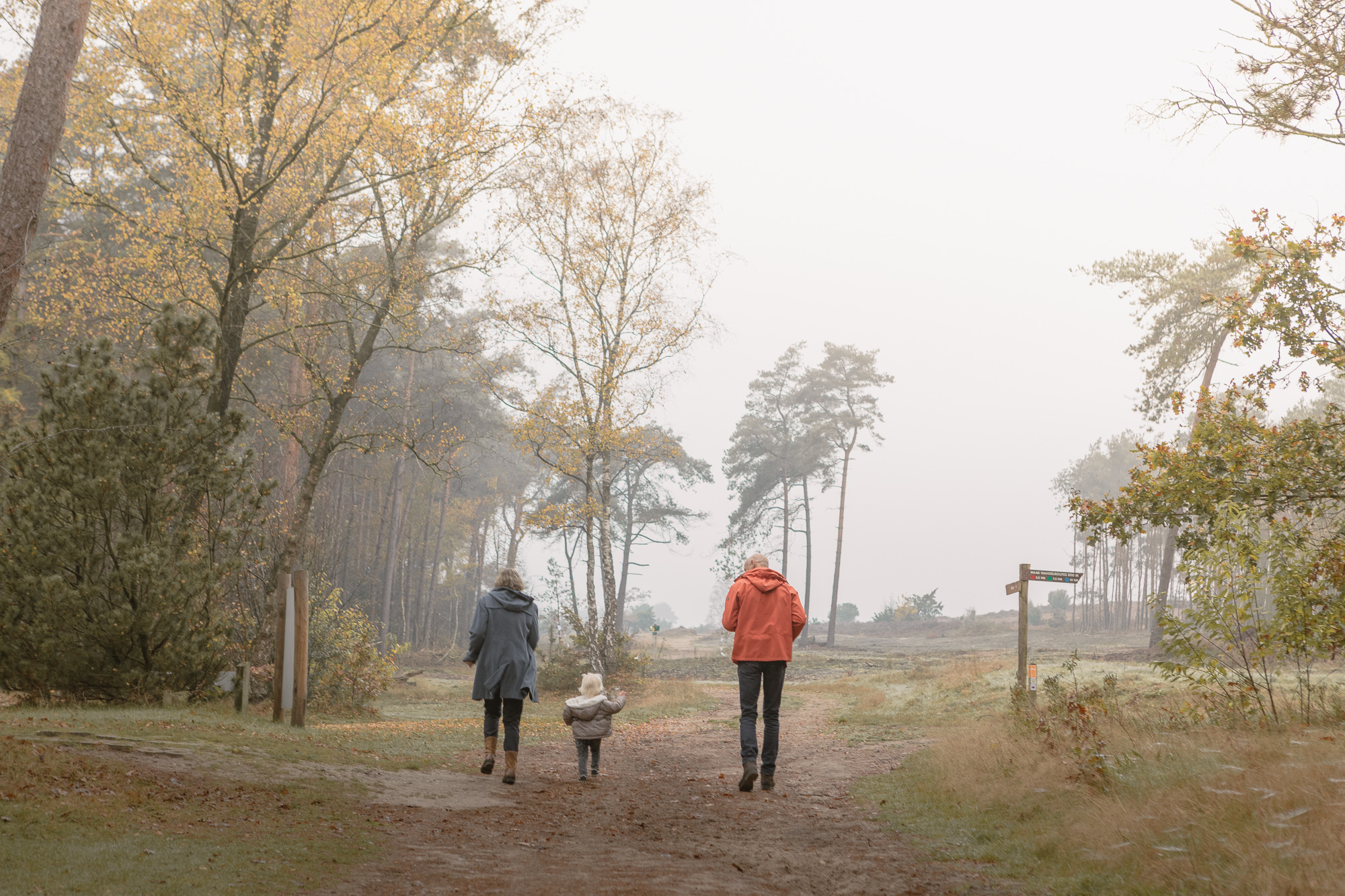 Herfstwandeling bij Lemeler Esch