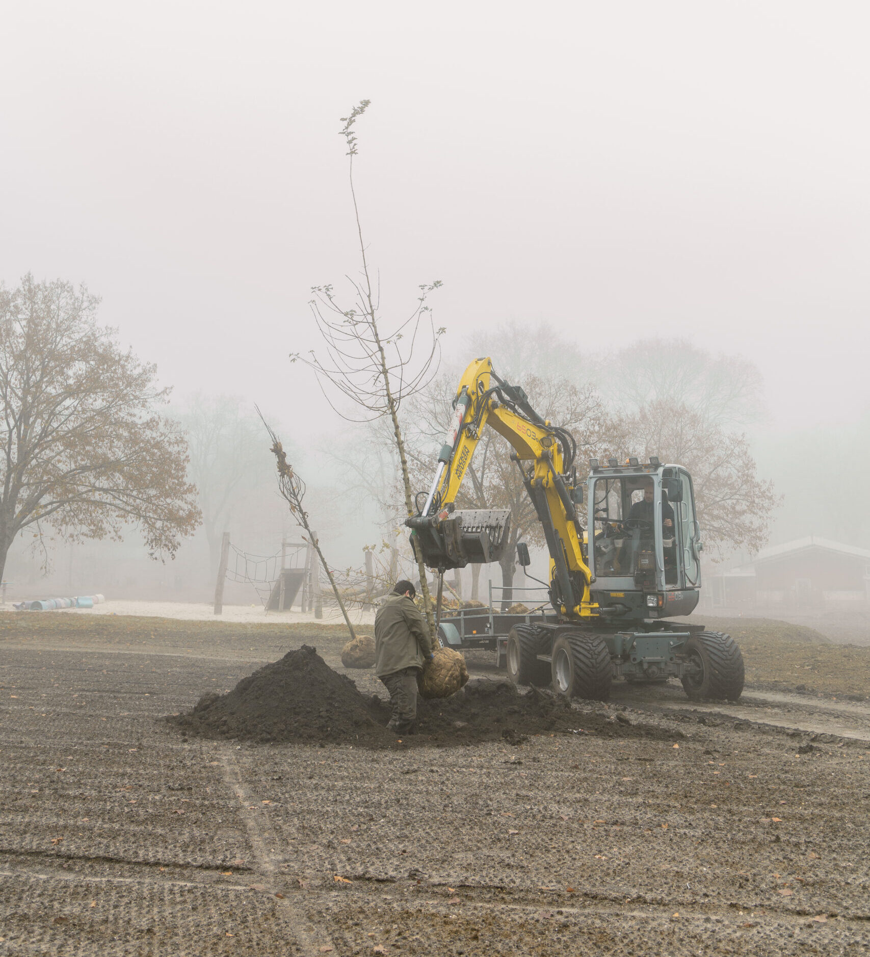 Adrian en Joost planten nieuwe bomen op kampeerveld Akker in najaar 2025