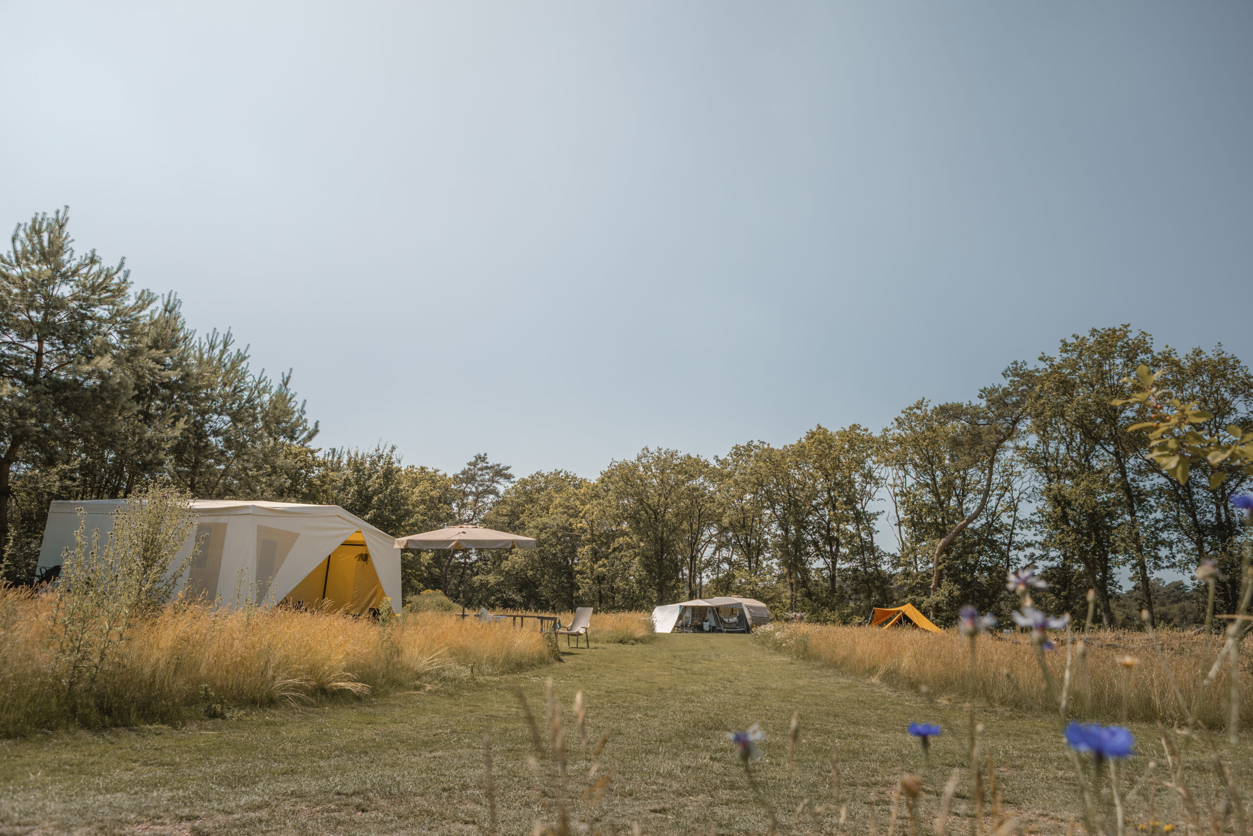 Cocosweet Deluxe bij natuurcamping Lemeler Esch