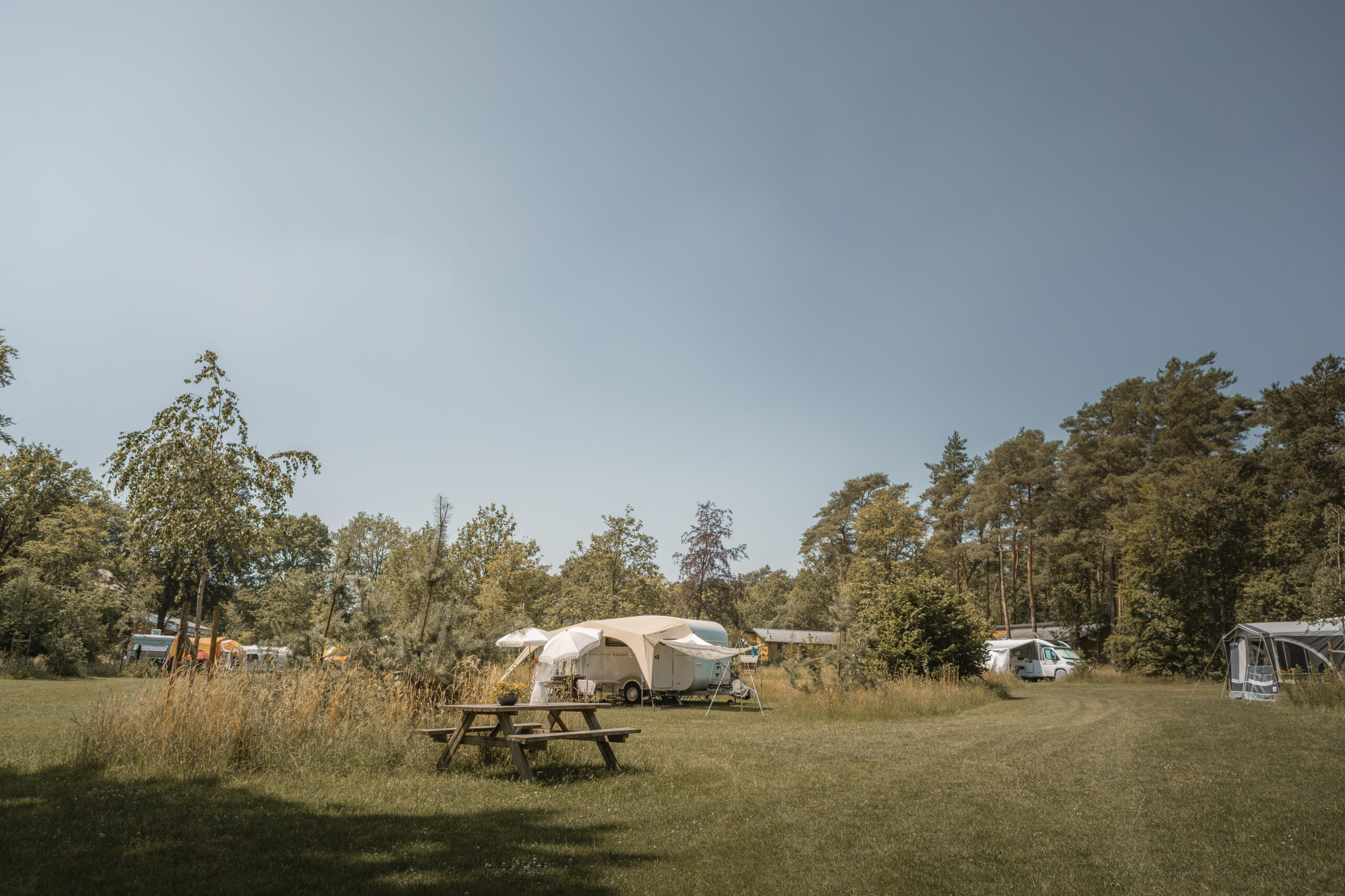 Kamperen op de Archemerheide bij natuurcamping Lemeler Esch