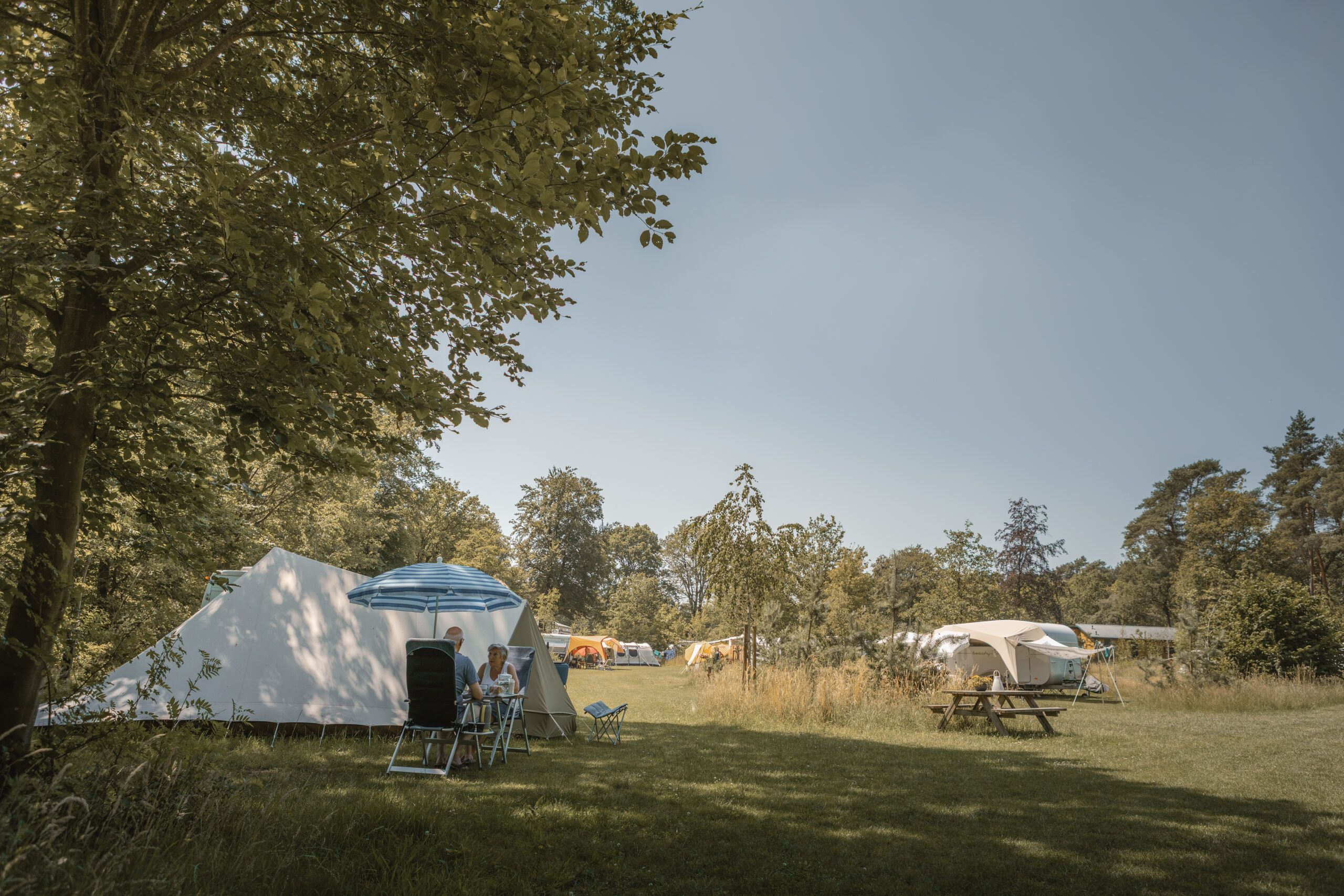 Kamperen op de Archemerheide bij natuurcamping Lemeler Esch