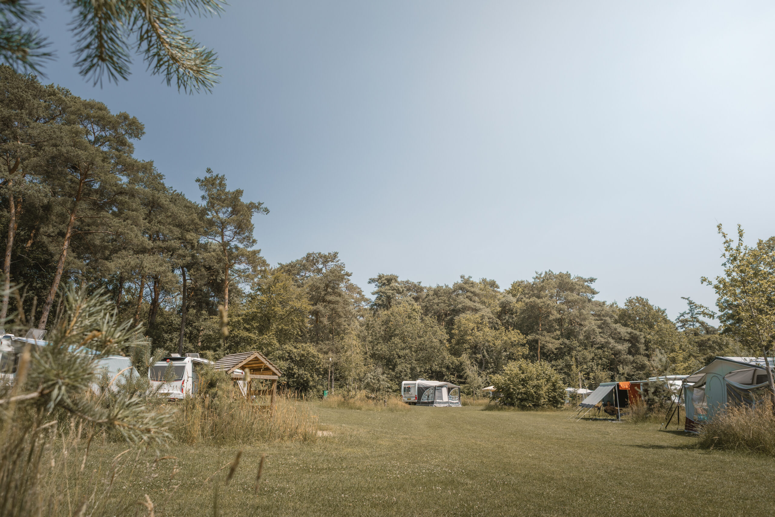 Kamperen op de Archemerheide bij natuurcamping Lemeler Esch