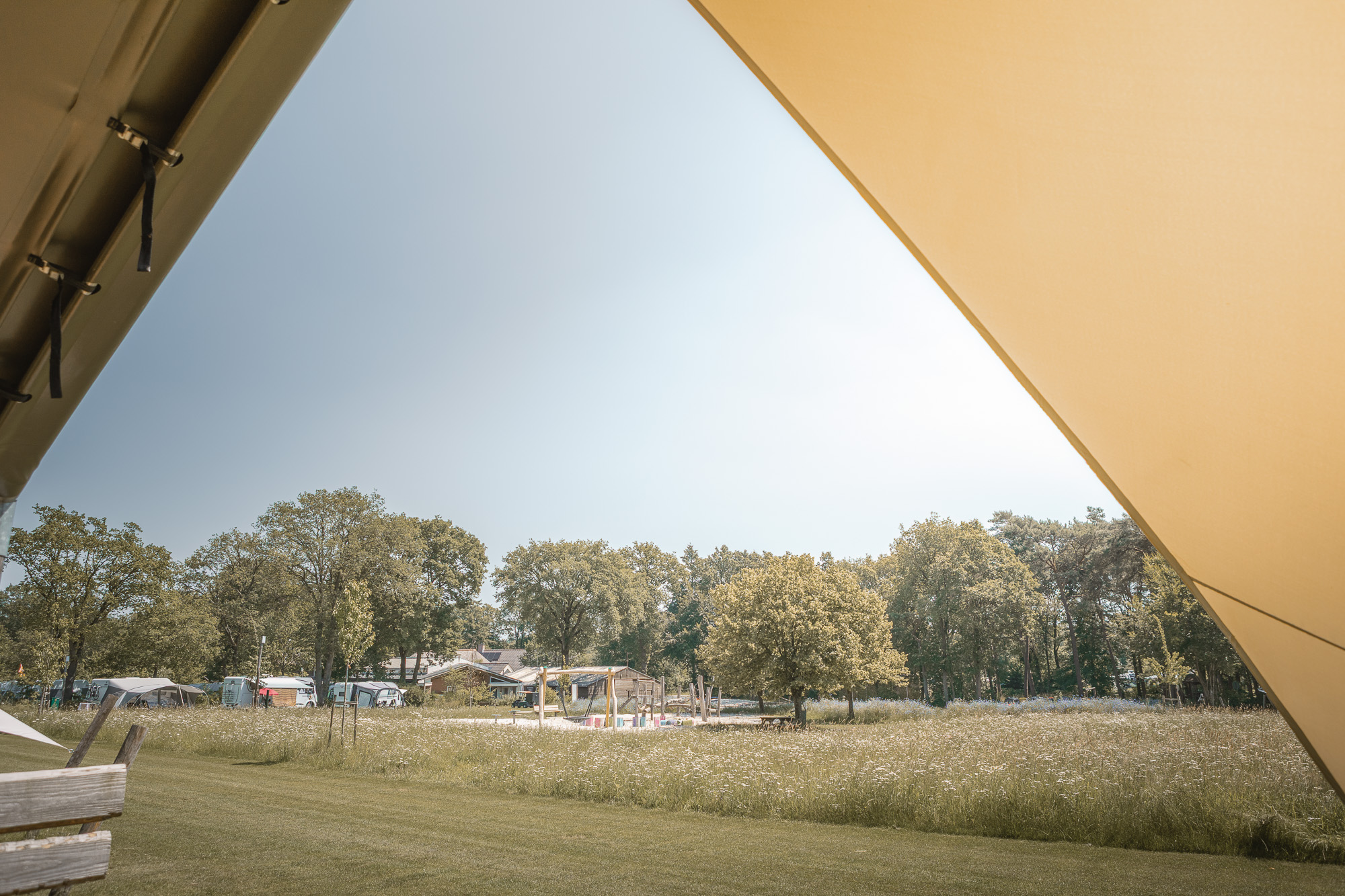 Uitzicht vanaf de Lodgetent op kampeerveld Akker bij natuurcamping Lemeler Esch