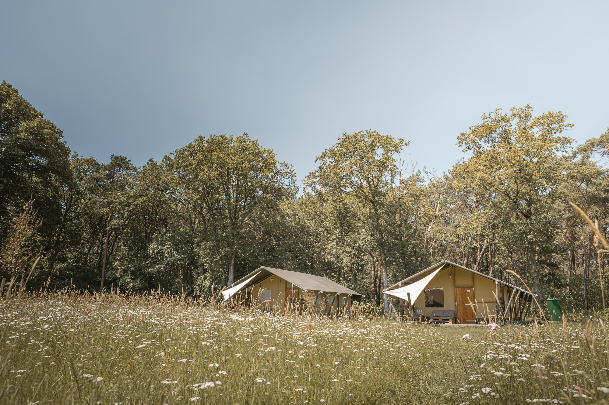Lodgetent op kampeerveld Akker bij natuurcamping Lemeler Esch