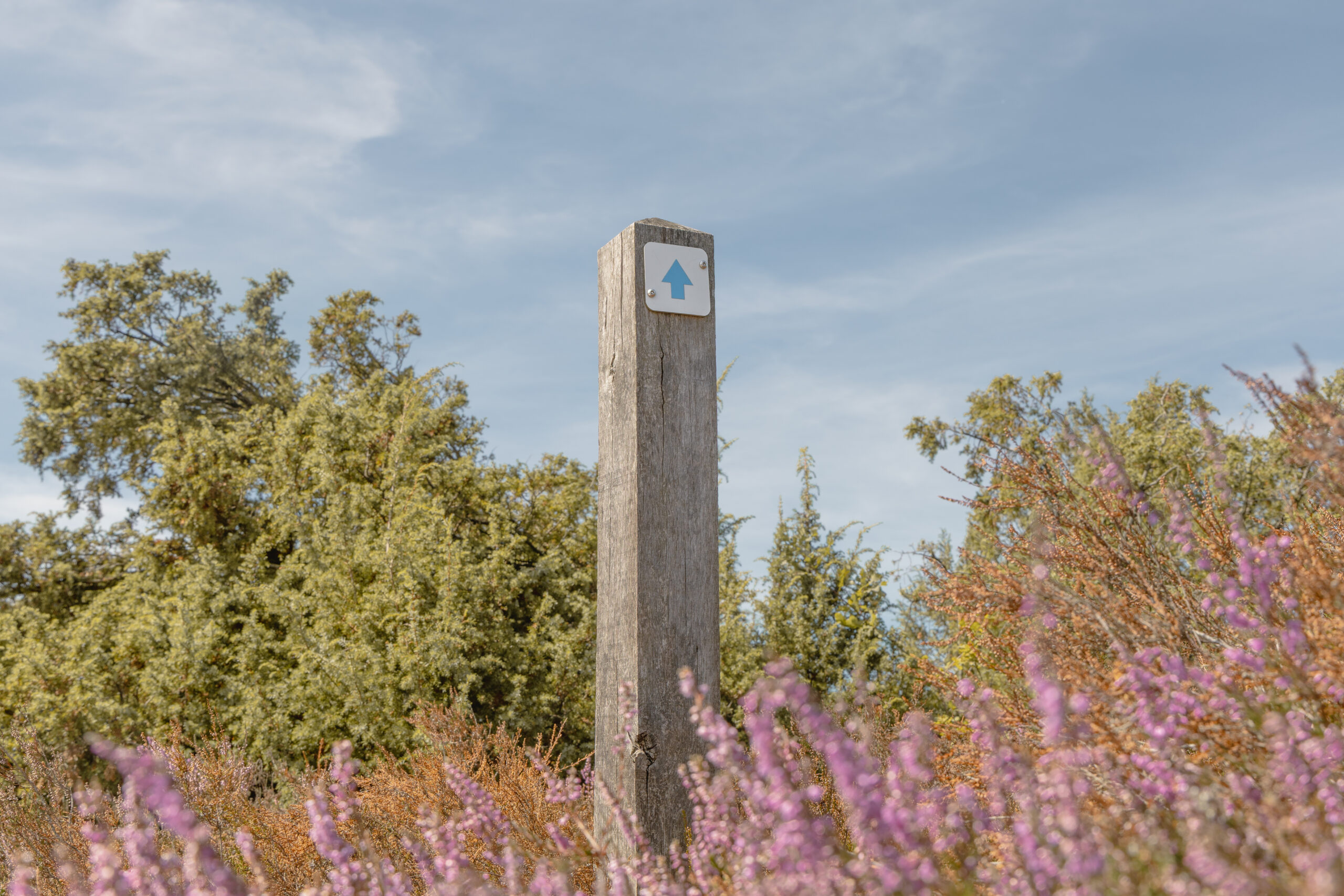 Wandelroute op de Lemelerberg