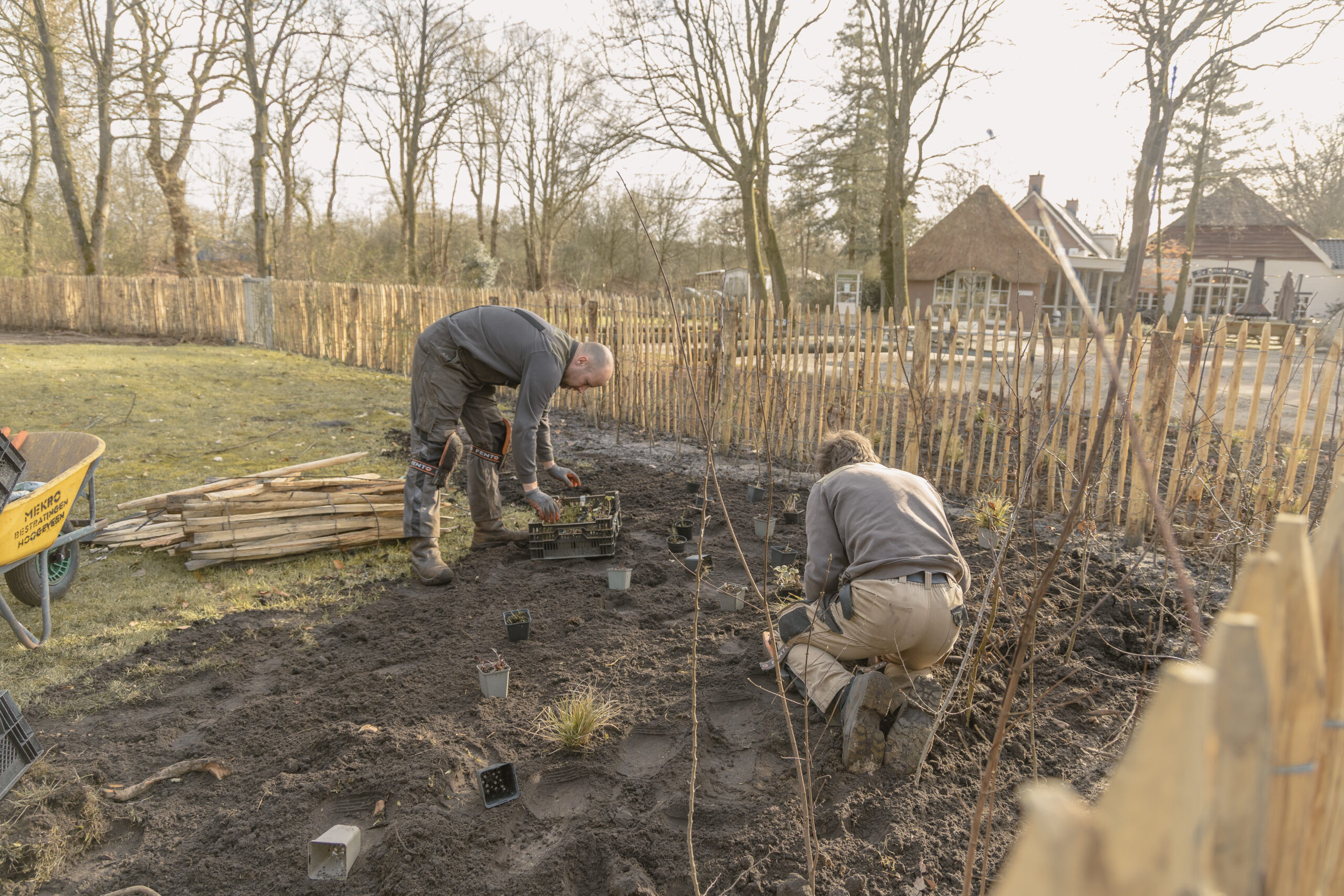 Ontwikkeling groene omgeving zwembad