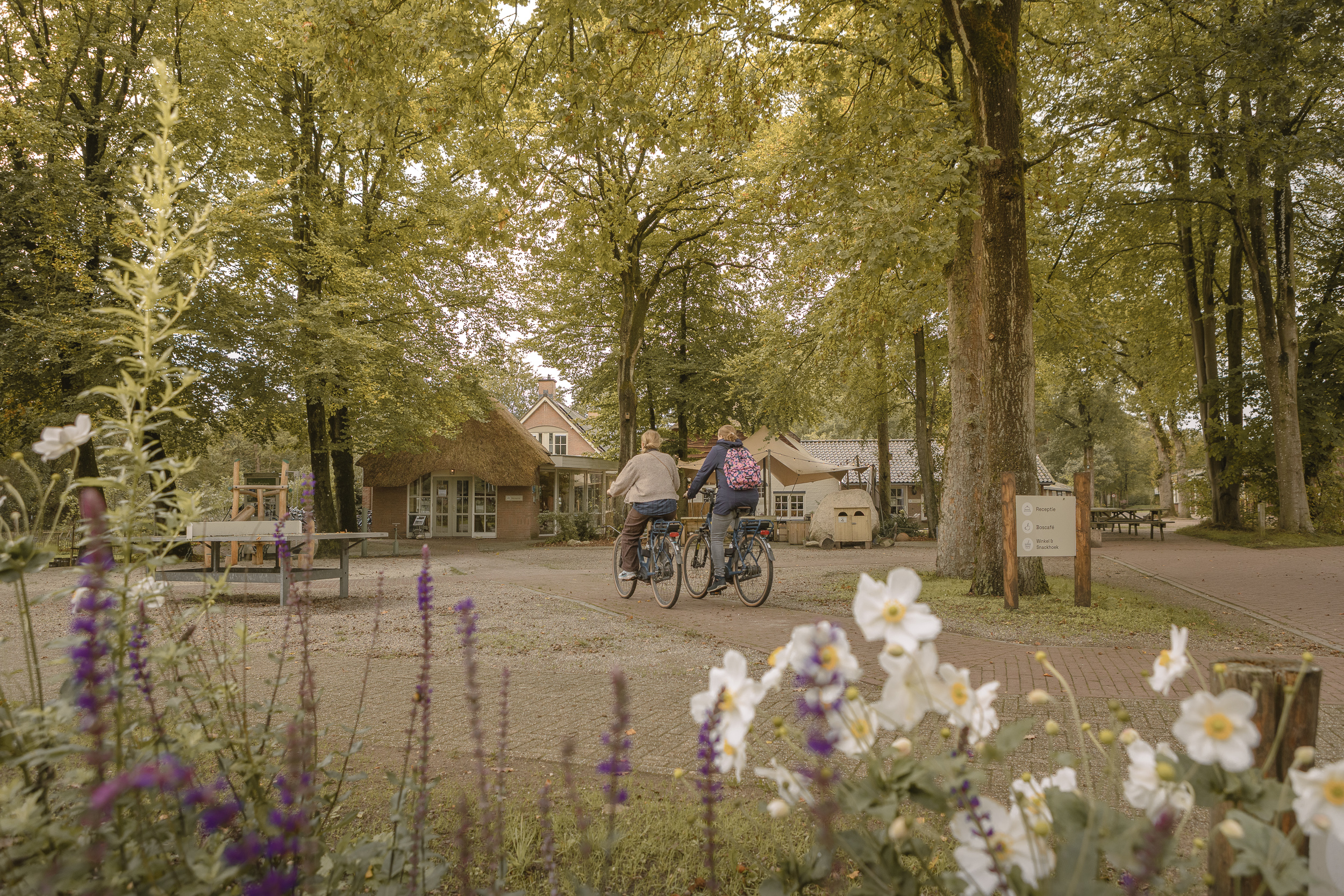 Fietsen bij het Boscafé Lemeler Esch