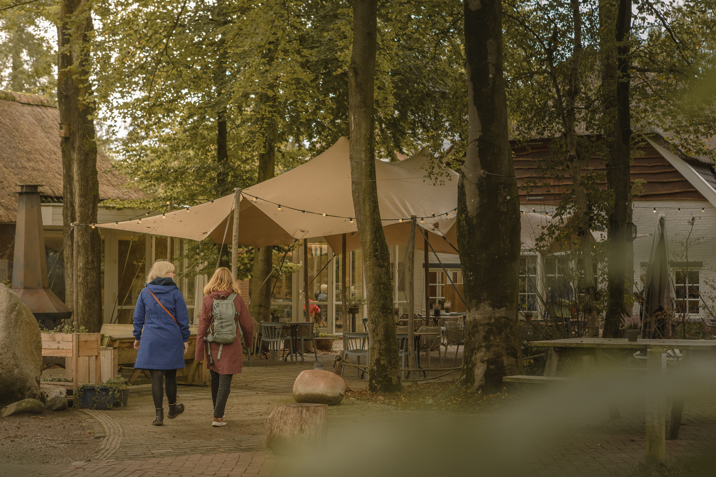 Wandelen vanaf het Boscafé bij de Lemelerberg